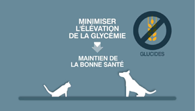 GLYCEMIESTABILISATIE